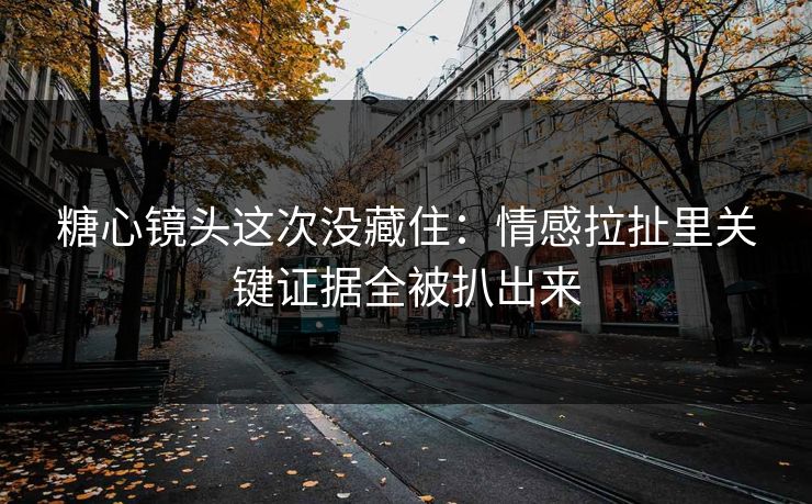 糖心镜头这次没藏住：情感拉扯里关键证据全被扒出来