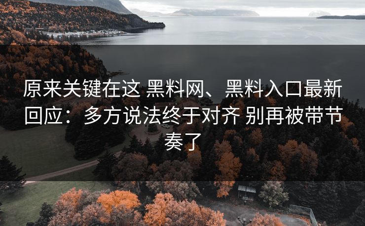 原来关键在这 黑料网、黑料入口最新回应：多方说法终于对齐 别再被带节奏了