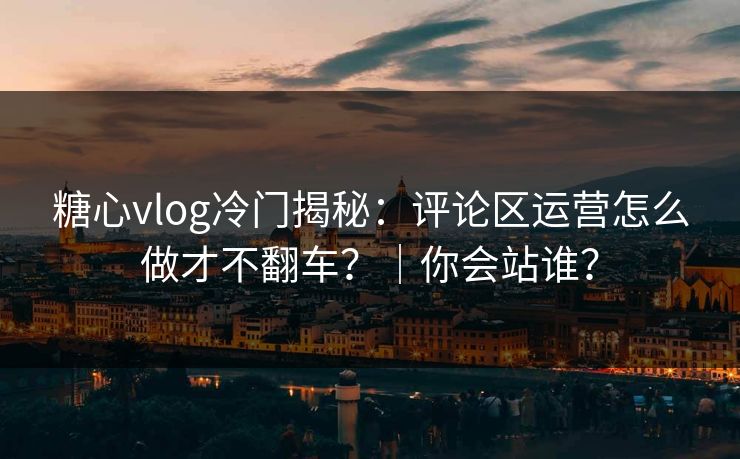 糖心vlog冷门揭秘：评论区运营怎么做才不翻车？｜你会站谁？