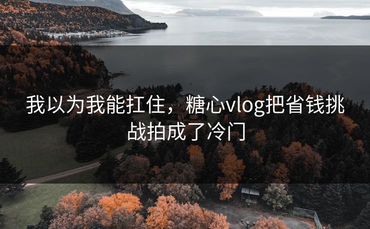 我以为我能扛住，糖心vlog把省钱挑战拍成了冷门