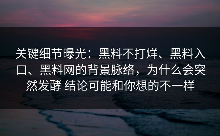 关键细节曝光：黑料不打烊、黑料入口、黑料网的背景脉络，为什么会突然发酵 结论可能和你想的不一样