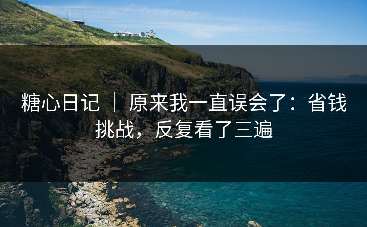 糖心日记 ｜ 原来我一直误会了：省钱挑战，反复看了三遍