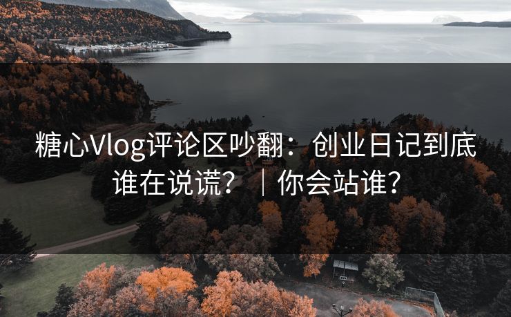 糖心Vlog评论区吵翻：创业日记到底谁在说谎？｜你会站谁？