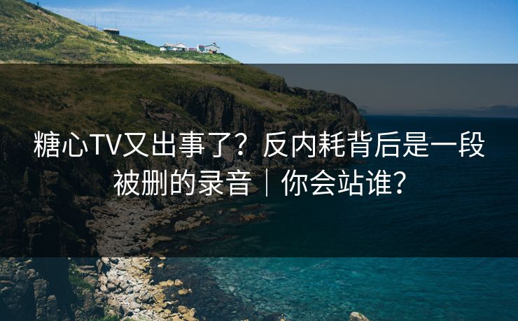 糖心TV又出事了？反内耗背后是一段被删的录音｜你会站谁？