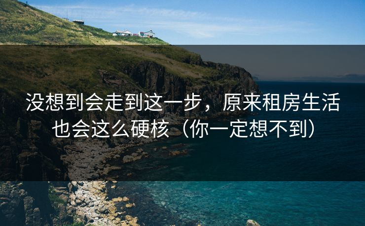 没想到会走到这一步，原来租房生活也会这么硬核（你一定想不到）