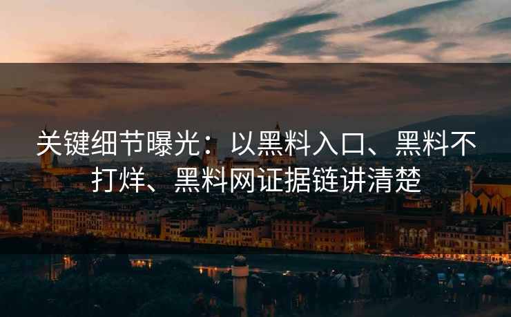 关键细节曝光：以黑料入口、黑料不打烊、黑料网证据链讲清楚