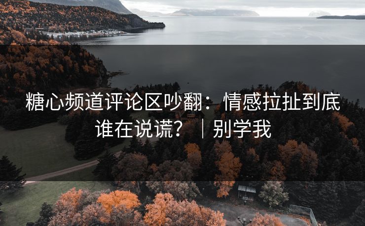 糖心频道评论区吵翻：情感拉扯到底谁在说谎？｜别学我