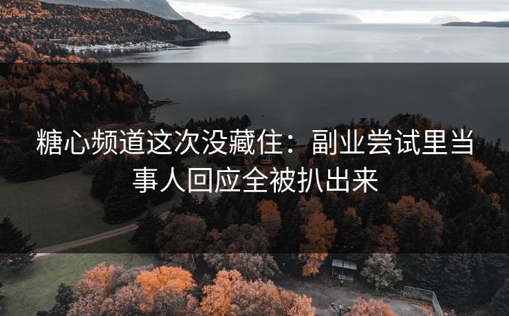 糖心频道这次没藏住：副业尝试里当事人回应全被扒出来