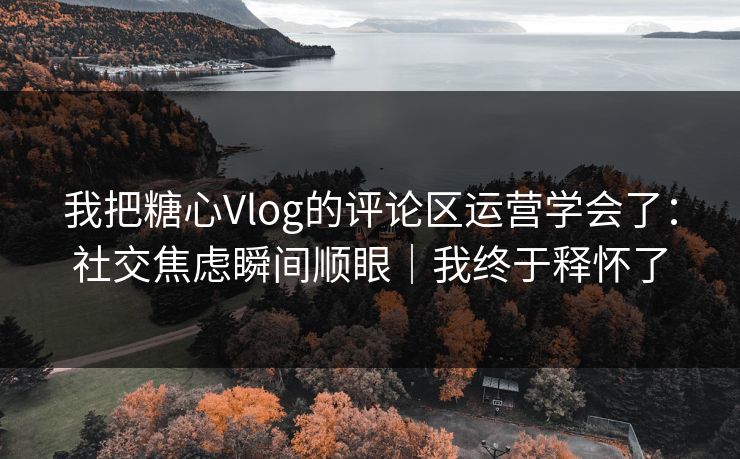 我把糖心Vlog的评论区运营学会了:社交焦虑瞬间顺眼|我终于释怀了 我把糖心Vlog的评论区运营学会了:社交焦虑瞬间顺眼|我终于释怀了