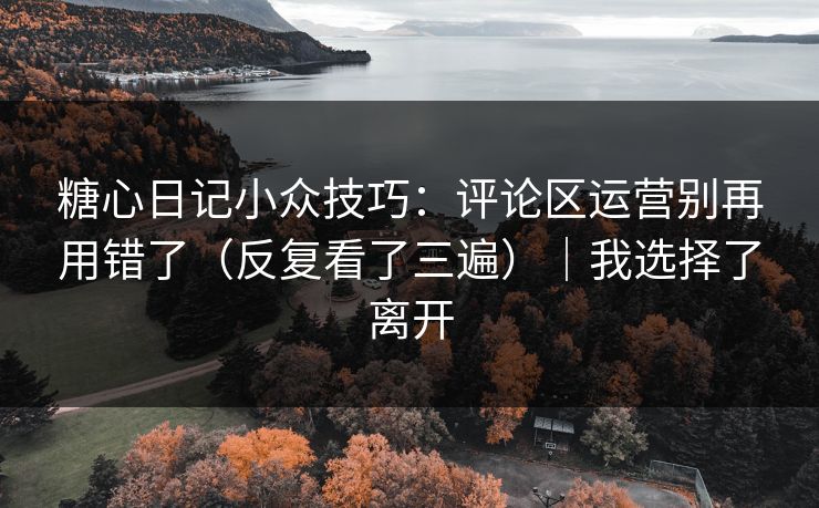 糖心日记小众技巧：评论区运营别再用错了（反复看了三遍）｜我选择了离开