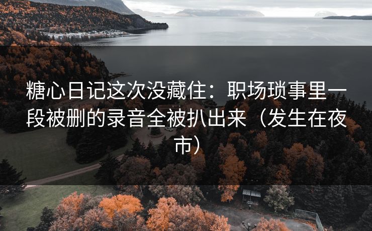 糖心日记这次没藏住：职场琐事里一段被删的录音全被扒出来（发生在夜市）