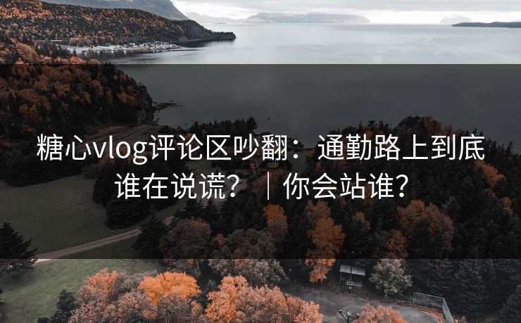 糖心vlog评论区吵翻：通勤路上到底谁在说谎？｜你会站谁？