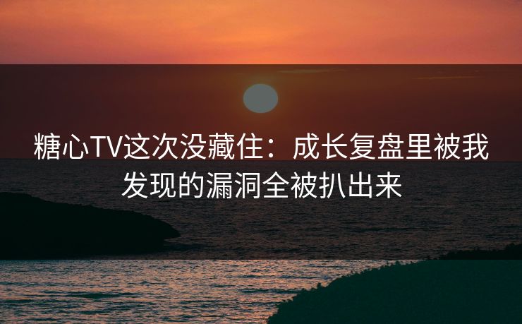 糖心TV这次没藏住：成长复盘里被我发现的漏洞全被扒出来
